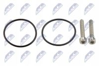 Zestaw uszczelek haldex - NTY FHO-VW-004