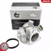 Zawór EGR - SKV ESEN 14SKV242