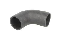 Przewód chłodnicy powietrza - THERMOTEC DCI019TT
