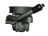 Pompa hydrauliczna przekładni kierowniczej - SPIDAN 0.054434