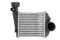 Chłodnica powietrza dolotowego - THERMOTEC DAW013TT