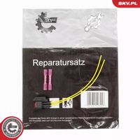Zestaw napędowyraw wiazki - SKV ESEN 53SKV267