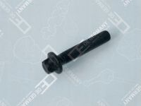 Śruba stopki korbowodu - OE 02 0311 206600