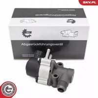 Zawór EGR - SKV ESEN 14SKV271