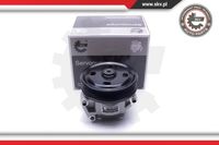Pompa wspomagania - SKV ESEN 10SKV309