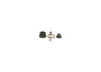 Zestaw naprawczy pompy Common Rail - BOSCH F 00N 201 451