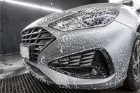 Preparat do usuwania owadów - MOJE AUTO MA 19-054 — zdjęcie 2