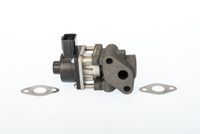 Zawór egr - BorgWarner WA711024D