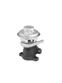 Zawór egr - BorgWarner WA712069D