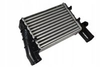 Chłodnica powietrza dolotowego - THERMOTEC DAW002TT