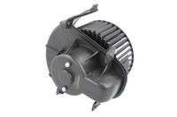 Dmuchawa - THERMOTEC DDW015TT