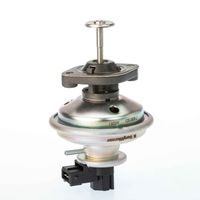Zawór egr - BorgWarner WA710970D