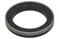 Uszczelniacz piasty - BTA B06-2215
