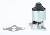Zawór egr - BorgWarner WA711033D