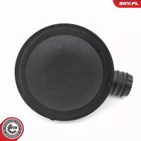 Odma separator oleju - SKV ESEN 31SKV409 — zdjęcie 3