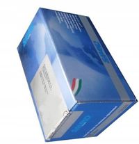Pompa sprzęgła - LPR LPR2369