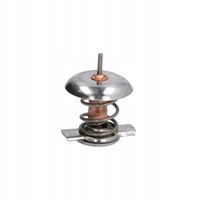 Termostat cieczy chłodzącej - THERMOTEC D2X007TT