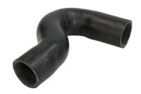 Przewód gumowy układu chłodzenia - THERMOTEC DWX250TT