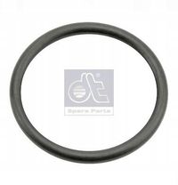 Uszczelki - DT SPARE PARTS 1.12267