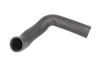 Przewód chłodnicy powietrza - THERMOTEC DCI008TT