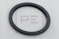 Uszczelniacz piasty - PETERS 011.499-00