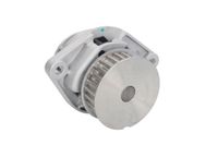 Pompa cieczy chłodzącej - THERMOTEC D1W019TT