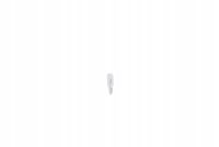 Żarówka, Pure Light - BOSCH 1 987 301 024 — zdjęcie 3