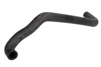 Przewód gumowy układu chłodzenia - THERMOTEC DWI036TT