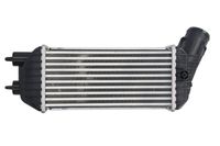 Chłodnica powietrza dolotowego - THERMOTEC DAC019TT