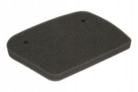 Filtr powietrza - ATHENA S410010200006