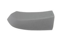 Listwa nadwozia - BLIC 5703-12-0516998P