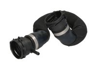 Przewód gumowy układu chłodzenia - THERMOTEC DWW335TT