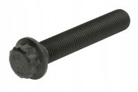 Śruba stopki korbowodu - OE 01 0311 936000