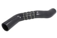 Przewód chłodnicy powietrza - THERMOTEC DC1112TT