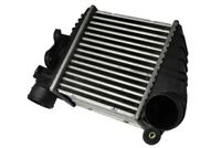 Chłodnica powietrza dolotowego - THERMOTEC DAW001TT