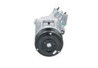 Kompresor klimatyzacji opel - BV PSH 090.135.021.040