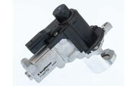 Zawór egr - BorgWarner WA710977D