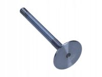 Zawór ss. vw 1.9td/2.4d 8v/12v - FRECCIA R4483/SCR