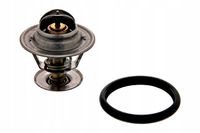 Termostat ford - SWAG 50918979