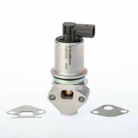 Zawór egr - BorgWarner WA710721D