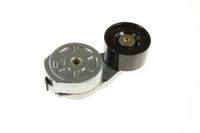 Napinacz paska wielorowkowego - BTA B05-01-002