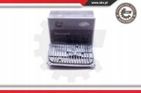Moduł Full LED - SKV ESEN 59SKV053