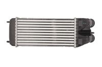 Chłodnica powietrza dolotowego - THERMOTEC DAP003TT