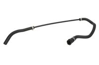 Przewód gumowy układu chłodzenia - THERMOTEC DWB244TT