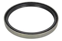Uszczelniacz piasty - BTA B06-2169