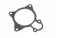 Uszczelka pompy wody iveco - OE 504080013