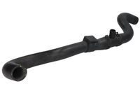 Wąż chłodnicy - THERMOTEC DWW543TT
