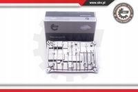 Moduł LED - SKV ESEN 59SKV049
