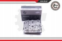 Moduł LED - SKV ESEN 59SKV059