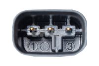 Czujnik ciś. spalin 3pin ford - SWAG 33100209